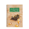 The Hive Elixirs (FR) by Catherine Flurin