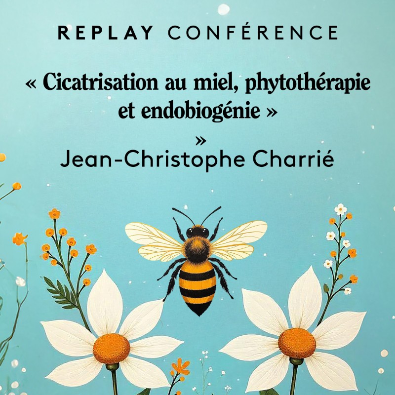 Replay of Jean-Christophe Charrié's Conference