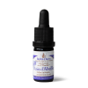 "Venin d'Abeille" Hive Elixir